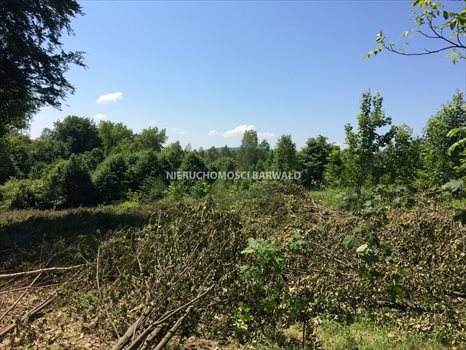 Działka budowlana na sprzedaż Kalwaria Zebrzydowska 24 786m2 Foto 3