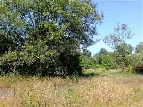 Działka budowlana na sprzedaż Kępa Kiełpińska, Brzegowa 1 700m2 Foto 2