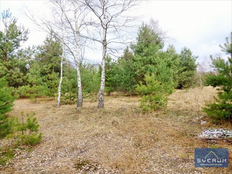 Działka rekreacyjna na sprzedaż Ostrowy Nad Okszą, Działka rekreacyjna z możliwością podziału 12 005m2 Foto 2