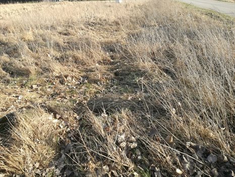 Działka inna na sprzedaż Połchowo 873m2 Foto 4