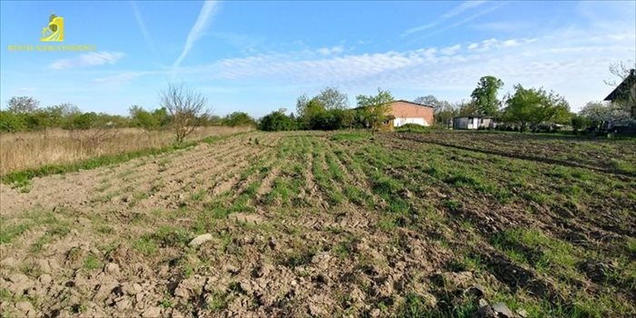 Działka budowlana na sprzedaż Opole, Półwieś 1 623m2 Foto 3
