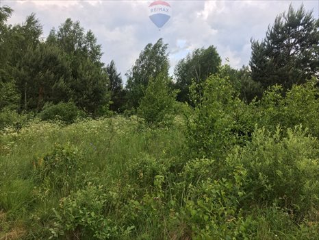 Działka inna na sprzedaż Wołowno 40 145m2 Foto 6