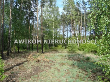 Działka rekreacyjna na sprzedaż Musuły 1 600m2 Foto 1