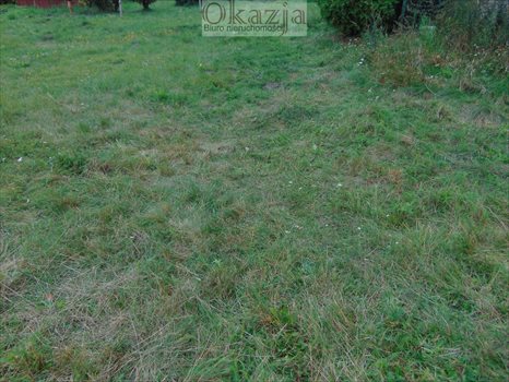 Działka budowlana na sprzedaż Mysłowice, Morgi 745m2 Foto 3