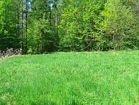 Działka rekreacyjna na sprzedaż Ujkowice 2 600m2 Foto 5