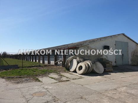 Lokal użytkowy na sprzedaż Teresin 6 975m2 Foto 11