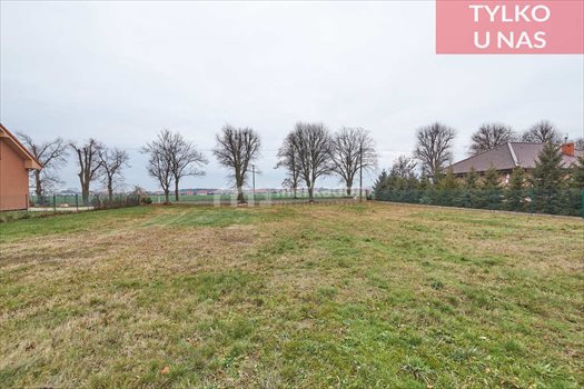 Działka budowlana na sprzedaż Krzyszkowo 952m2 Foto 4
