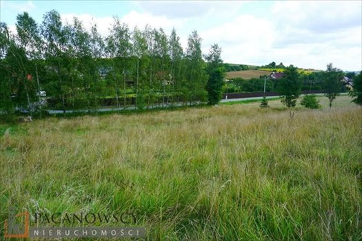 Działka budowlana na sprzedaż Michałowice 2 000m2 Foto 5