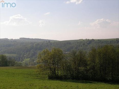 Działka budowlana na sprzedaż Kielnarowa 1 450m2 Foto 10