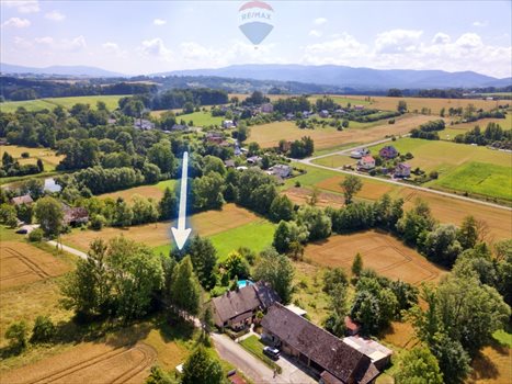 Działka budowlana na sprzedaż Roztropice 3 500m2 Foto 2