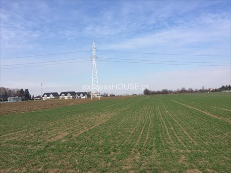 Działka budowlana na sprzedaż Abramowice Prywatne 8 503m2 Foto 1