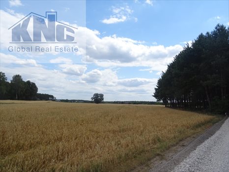 Działka budowlana na sprzedaż Lubiaszów 1 500m2 Foto 2