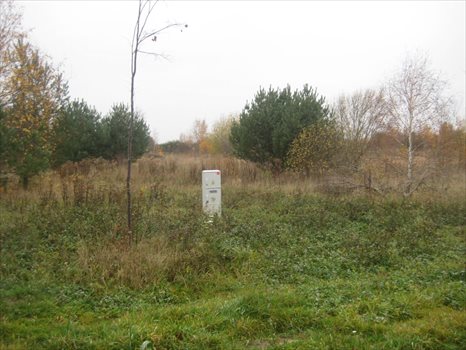 Działka budowlana na sprzedaż Kobylnica, Jaśminowa 1 299m2 Foto 7