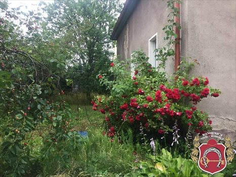 Działka budowlana na sprzedaż Gdynia, okolice Spokojnej 541m2 Foto 3