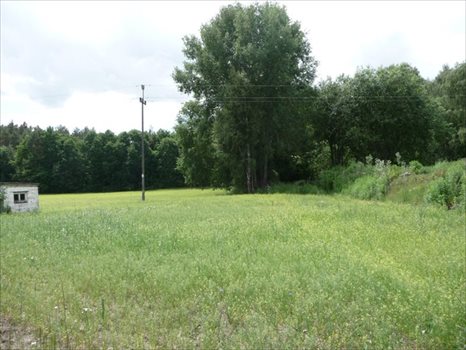 Działka budowlana na sprzedaż Sieniawa 455m2 Foto 1