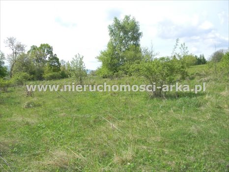 Działka budowlana na sprzedaż Limanowa 2 200m2 Foto 4