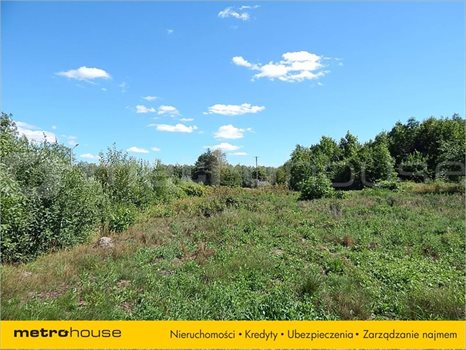 Działka rolna na sprzedaż Józefin, Chełm 4 920m2 Foto 6