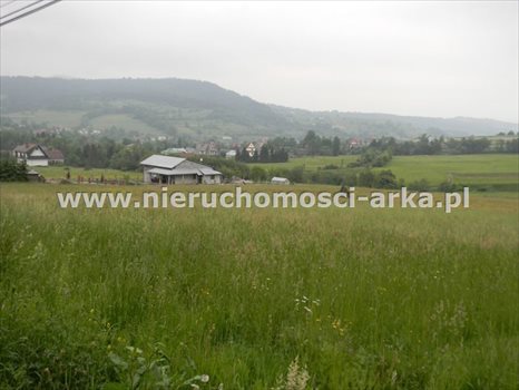 Działka budowlana na sprzedaż Kasina Wielka 2 325m2 Foto 2