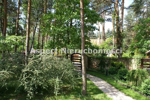 Dom na sprzedaż Kusięta 330m2 Foto 3