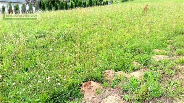 Działka budowlana na sprzedaż Nowy Sącz 1 500m2 Foto 3