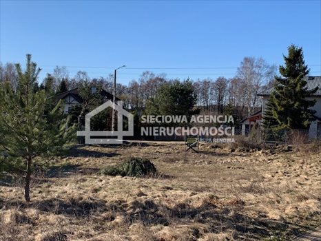 Działka budowlana na sprzedaż Sitno 818m2 Foto 4