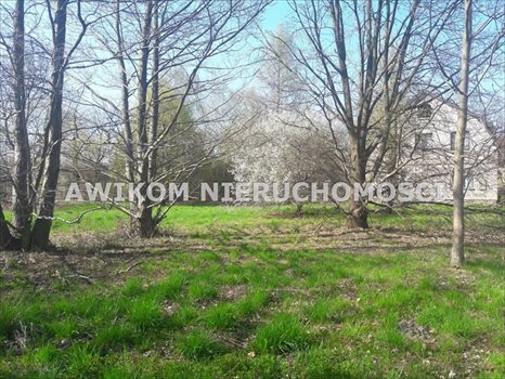 Działka budowlana na sprzedaż Jaktorów 4 500m2 Foto 9
