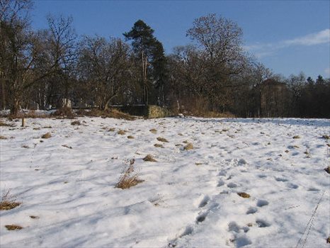 Działka przemysłowo-handlowa na sprzedaż RABKA-ZDRÓJ 1 208m2 Foto 1