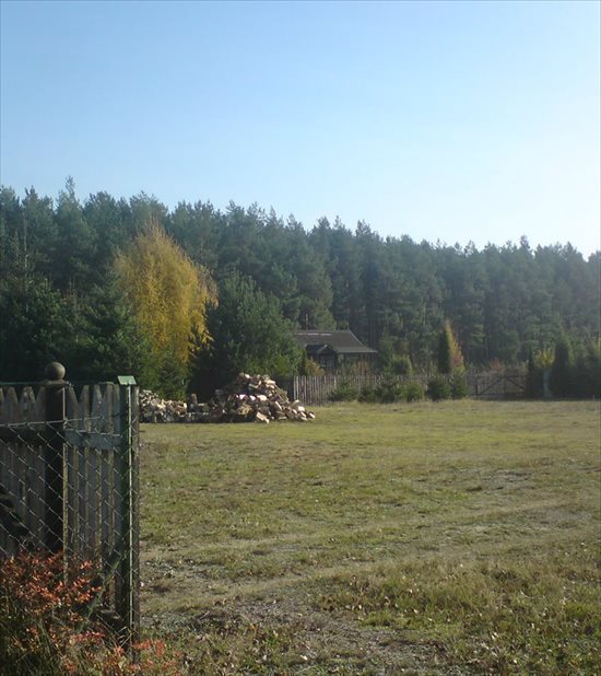 Działka siedliskowa na sprzedaż Krucz, Gminna 1 400m2 Foto 1