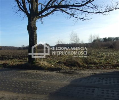 Działka budowlana na sprzedaż Tokary 1 444m2 Foto 2