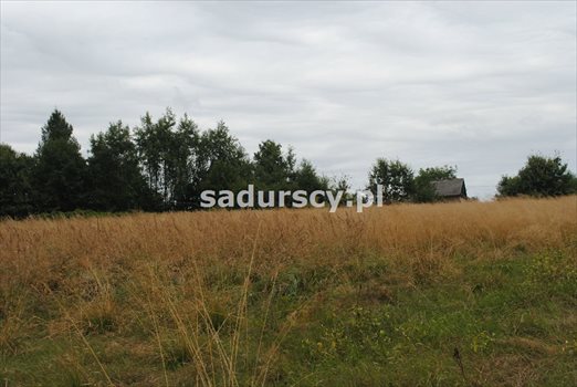 Działka inna na sprzedaż Wola Nieszkowska 9 300m2 Foto 3