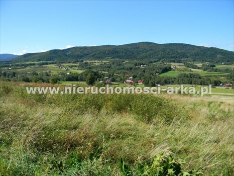Działka budowlana na sprzedaż Skrzydlna 1 700m2 Foto 4