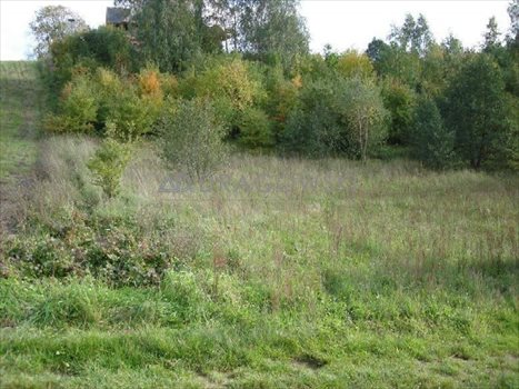Działka budowlana na sprzedaż Charzykowy 2 615m2 Foto 3