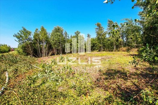 Działka inna na sprzedaż Starogard Gdański, Las, Ulica osiedlowa, Niemojewskiego 853m2 Foto 7