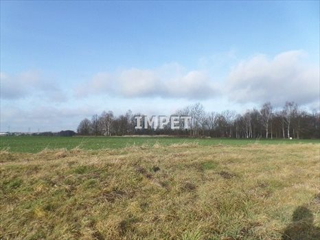 Działka budowlana na sprzedaż Jerzmanki 1 050m2 Foto 9
