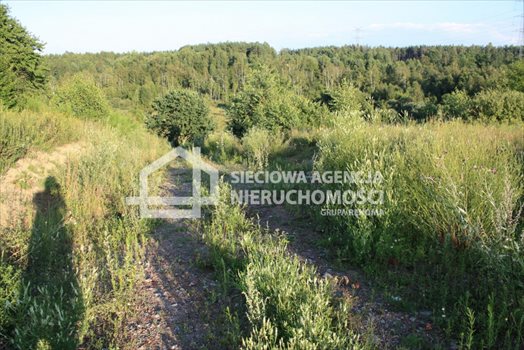 Działka budowlana na sprzedaż Tokary 1 139m2 Foto 4