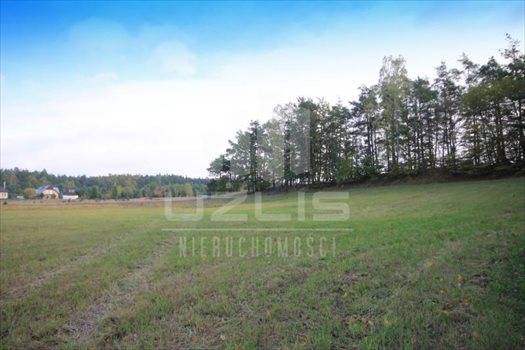 Działka siedliskowa na sprzedaż Grabówko, Jezioro, Las, Grabówko 3 100m2 Foto 3