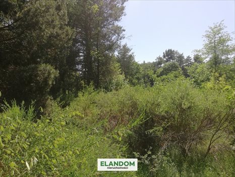 Działka budowlana na sprzedaż Józefów 811m2 Foto 4