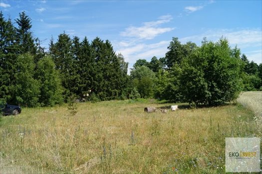Działka budowlana na sprzedaż Winnica 2 300m2 Foto 2