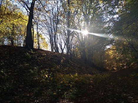 Działka budowlana na sprzedaż Krzynia 2 258m2 Foto 5