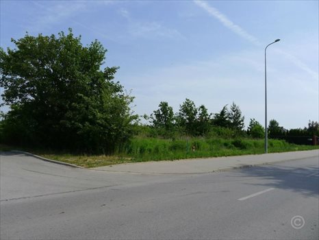 Działka inna na sprzedaż Rosanów 2 712m2 Foto 3