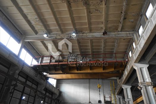 Lokal użytkowy na sprzedaż Mikołów 2 090m2 Foto 11