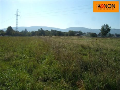 Działka budowlana na sprzedaż Kozy 2 504m2 Foto 8
