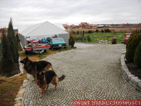 Dom na wynajem Wilkszyn 300m2 Foto 3