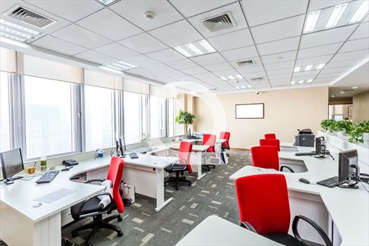 Lokal użytkowy na wynajem Gdynia, Chylonia 290m2 Foto 5