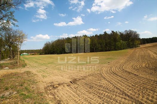 Działka inna na sprzedaż Rokocin, Jezioro, Las, Peplińskiego 13 729m2 Foto 11