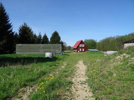 Działka inwestycyjna na sprzedaż Wrzesina 94 000m2 Foto 7