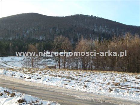 Działka budowlana na sprzedaż Skrzydlna 4 600m2 Foto 2