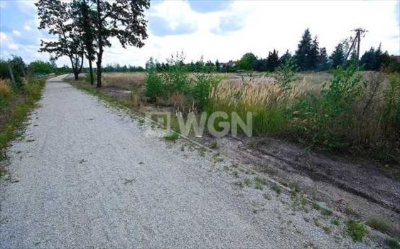 Działka komercyjna na sprzedaż Wrocław, Stabłowice, Starogajowa 4 000m2 Foto 2