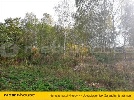 Działka inna na sprzedaż Piątkowisko, Pabianice 886m2 Foto 6