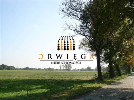 Działka budowlana na sprzedaż Gościnowo 1 200m2 Foto 5